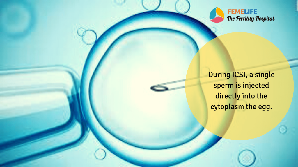 Best Fertility Centre in Chennai