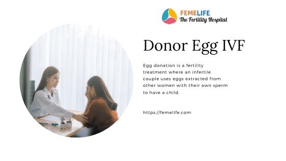 donor egg ivf 