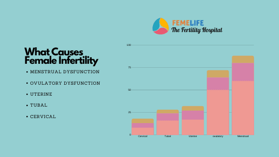 Femelife Infertility