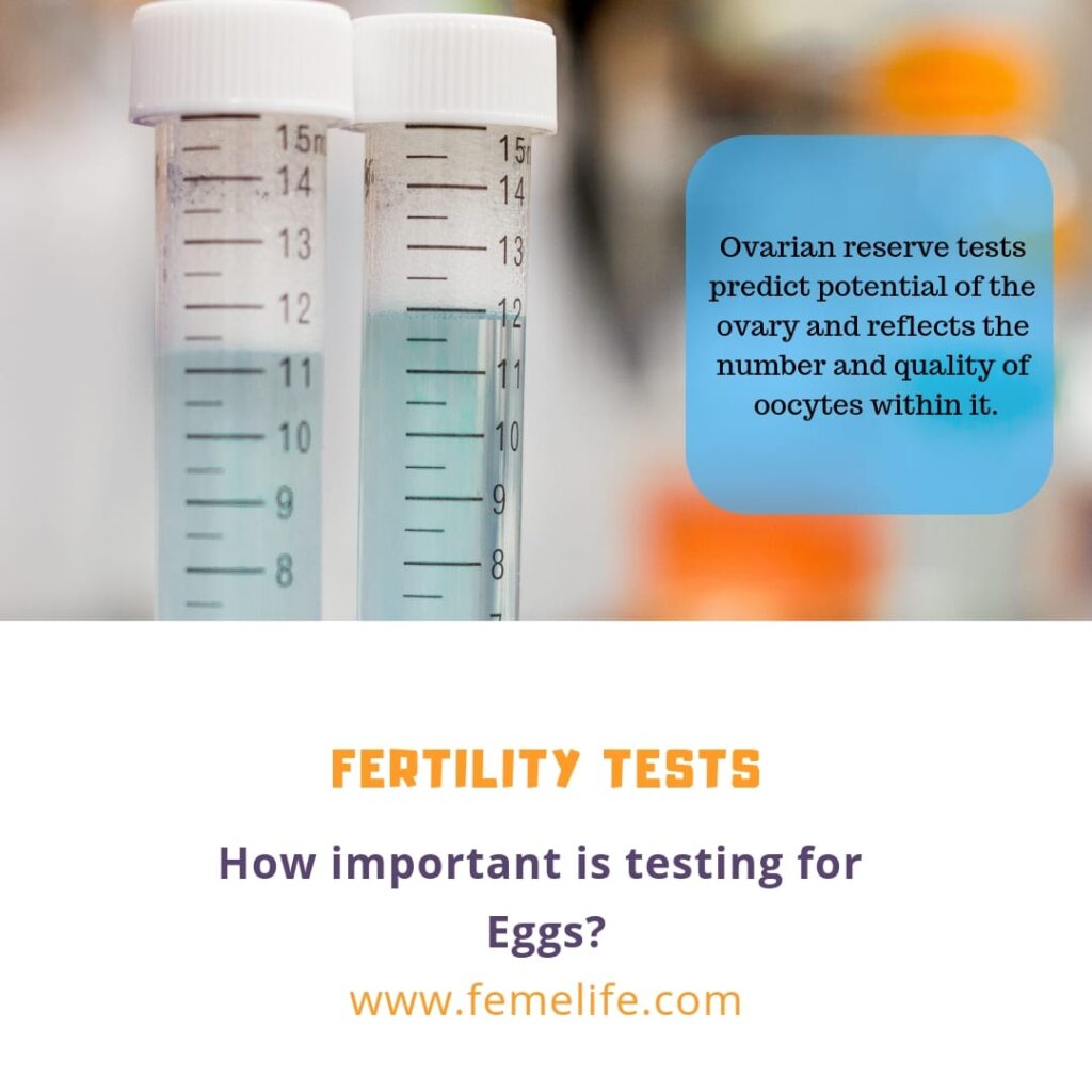 fertility test