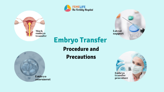 embryo transfer