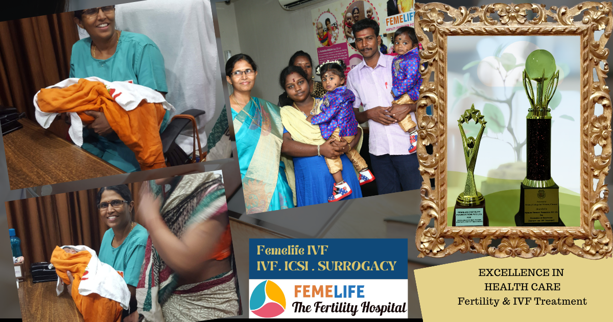 Femelife team and community